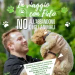 Al via la campagna contro l'abbandono nel periodo estivo degli animali
