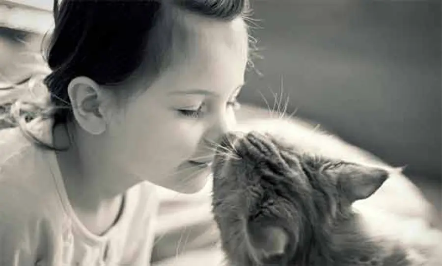 Si possono baciare sulla bocca i cani e i gatti, la ricerca