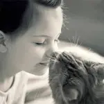 Si possono baciare sulla bocca i cani e i gatti, la ricerca