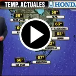 Previsioni meteo interrotte da un gatto