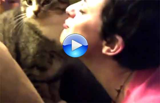 Gatti e cani che non voglio farsi baciare [Video]