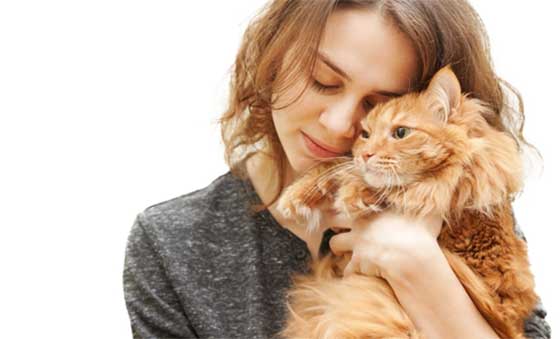 Come misurare il rapporto di amicizia con il nostro gatto