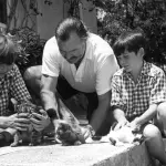 Scrittori famosi e gatti da Hemingway a Bukowski