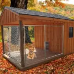 Recinto per cani da esterno: caratteristiche, prezzi e consigli