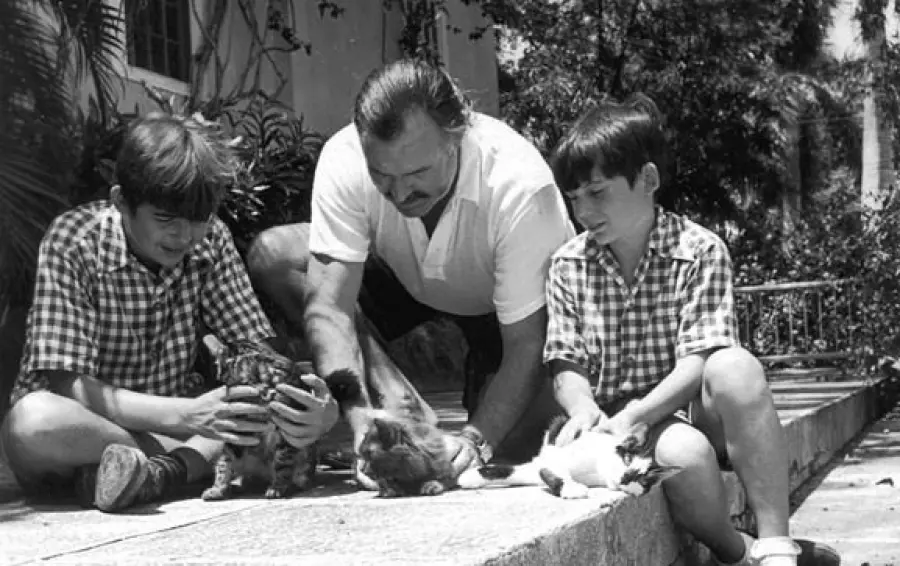 Scrittori famosi e gatti da Hemingway a Bukowski