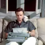 Il gatto del cinema romantico ed horror, una doppia anima