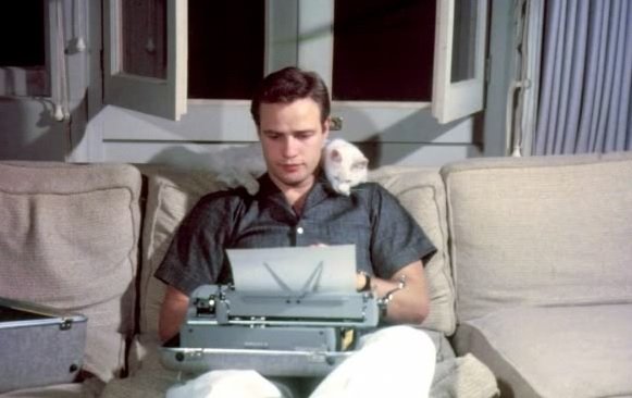 Il gatto del cinema romantico ed horror, una doppia anima