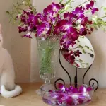 Le piante velenose per i gatti, attenzione a tenerle in casa