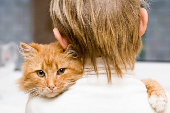 Una app per chiedere consiglio ad un team di veterinari