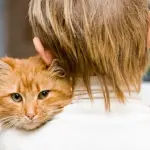 Una app per chiedere consiglio ad un team di veterinari