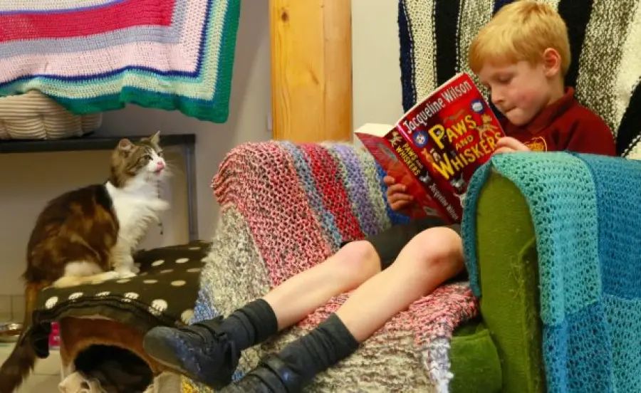 Progetto Winkfield: bambini leggono favole a cani e gatti