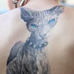 Cattoos: la nuova mania di tatuarsi dei gatti! [VIDEO]
