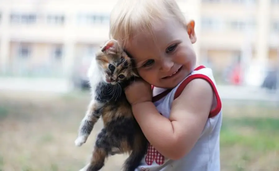 Gatti e bambini: qualche incontro… inaspettato! [VIDEO]