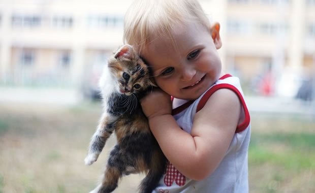 Gatti e bambini: qualche incontro… inaspettato! [VIDEO]