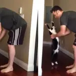 Il gattino che ama gli abbracci, guardate che tenerezza!!! [VIDEO]