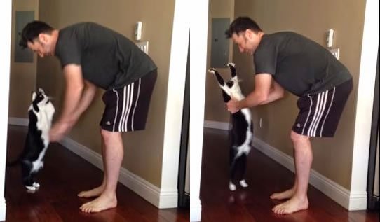 Il gattino che ama gli abbracci, guardate che tenerezza!!! [VIDEO]