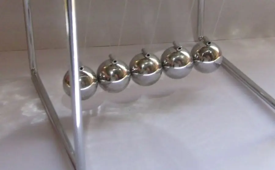 Gatti imparano la… fisica! [VIDEO]