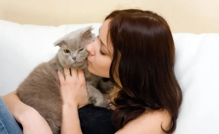 Ecco come i gatti sono diventati amici dell’uomo