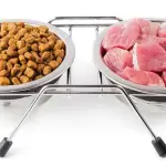 Alimentazione dei nostri amici animali: cibo preconfezionato o casalingo?