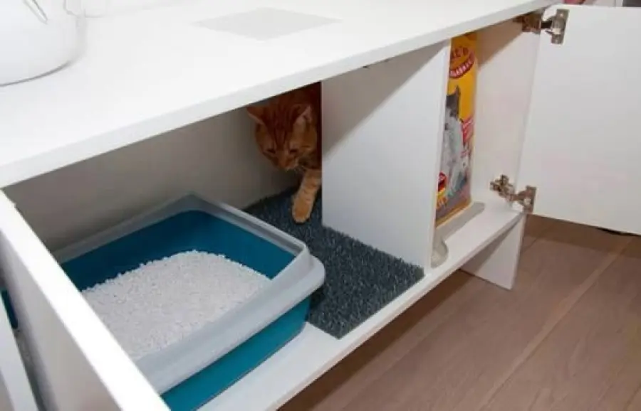 Lettiera per gatti che amano la privacy!