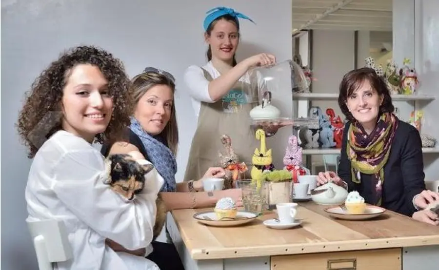 MiaGola Caffè, alla scoperta del primo locale per (e con) i gatti