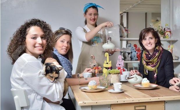 MiaGola Caffè, alla scoperta del primo locale per (e con) i gatti