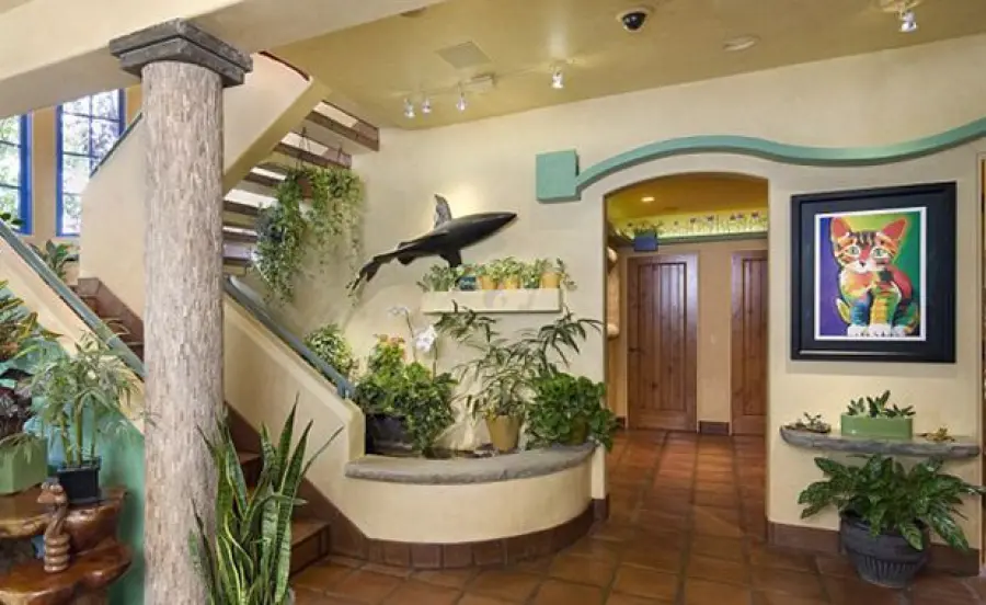 La casa più bella per i gatti! [FOTO]