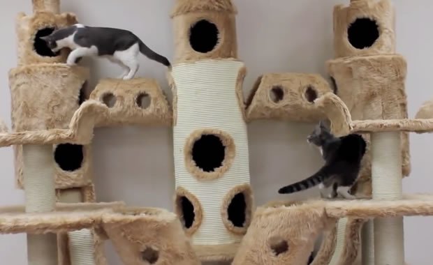 Un fantastico “palazzo” per i vostri gatti! [VIDEO]