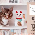 Città a misura di gatto: Parigi! [VIDEO]