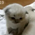 Da 0 a 50 giorni in 5 minuti! [VIDEO]