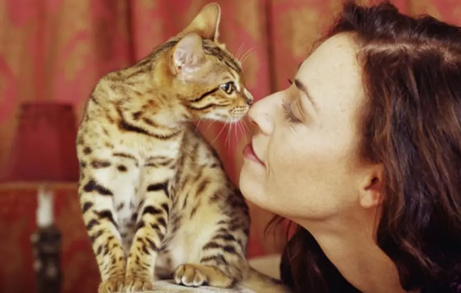Collezione di foto con gatti e donne! [VIDEO]