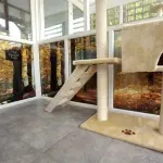 Apre a Parigi il primo albergo solo per gatti