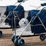 Migliori passeggini per animali, caratteristiche e prezzo