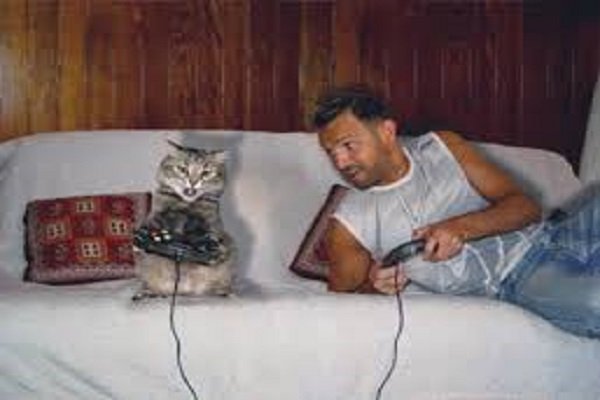 Gatti domestici imitano i padroni, anche nelle brutte abitudini