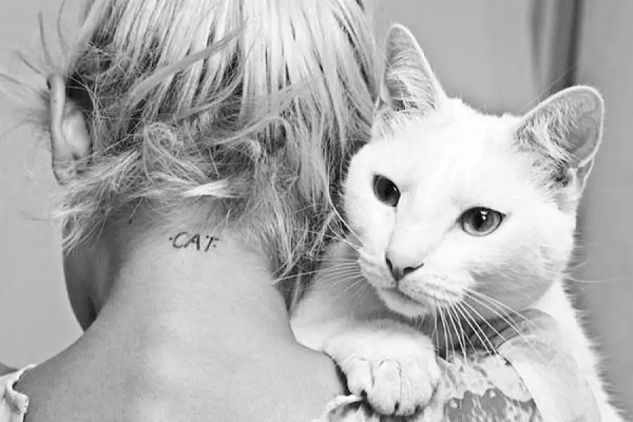 Come il gatto vede gli umani