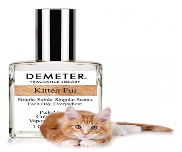 Kitten Fur, il profumo che sa di gatto