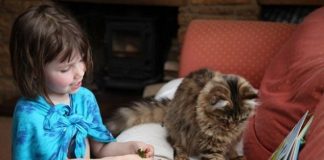 Iris bambina autistica che dipinge col suo gatto al fianco